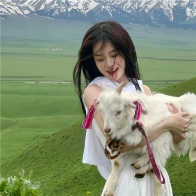 白桦林中的哨所